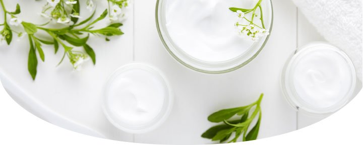 Image with creame and some green plant